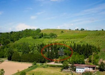 Vista - Attività Commerciale corso Duca degli Abruzzi, 27, Torino (zona Centro) - foto 35