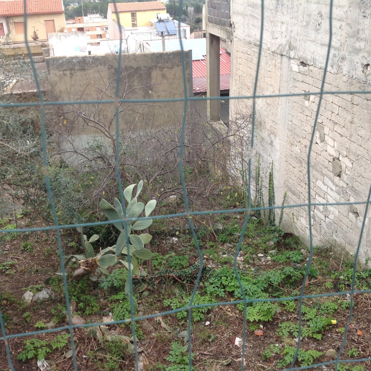 IMG_4055.JPG - Terreno edificabile Canicattini Bagni - foto 2