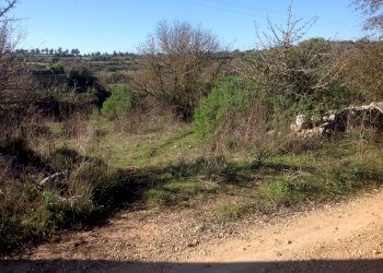 IMG_3903.JPG - Agricultural land Siracusa - photo 1
