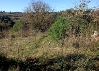 IMG_3896.JPG - Agricultural land Siracusa - photo 2