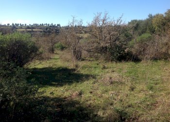 IMG_3897.JPG - Agricultural land Siracusa - photo 3
