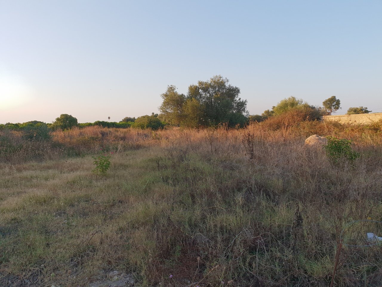 20190712_193846.jpg - Terreno edificabile Siracusa - foto 1