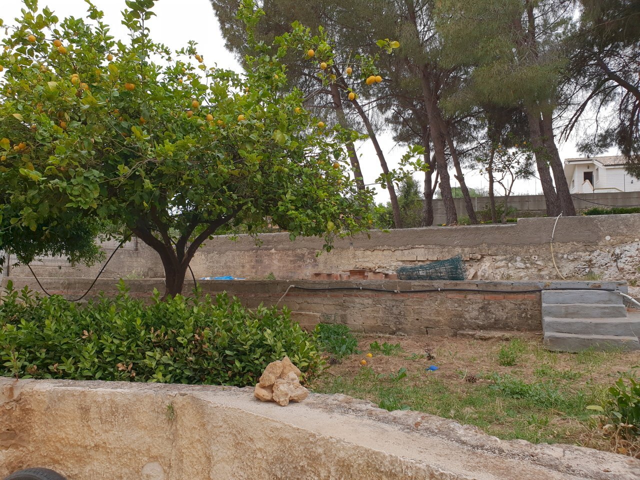 20190606_154410.jpg - Terreno edificabile Siracusa - foto 2