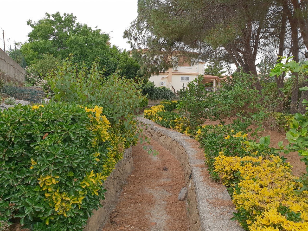 20190606_154522.jpg - Terreno edificabile Siracusa - foto 1
