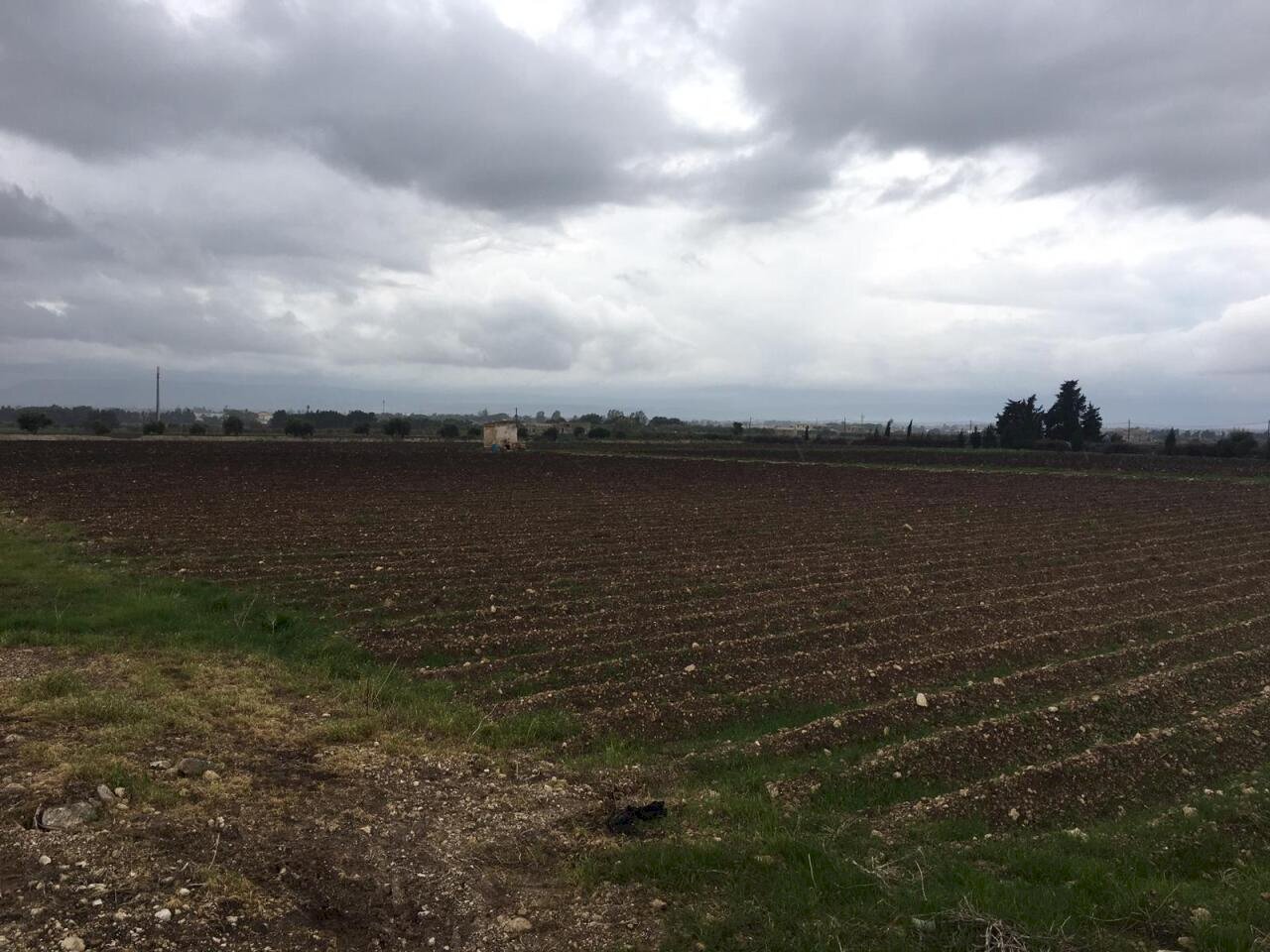 IMG-20181201-WA0016.jpg - Terreno agricolo Siracusa - foto 1