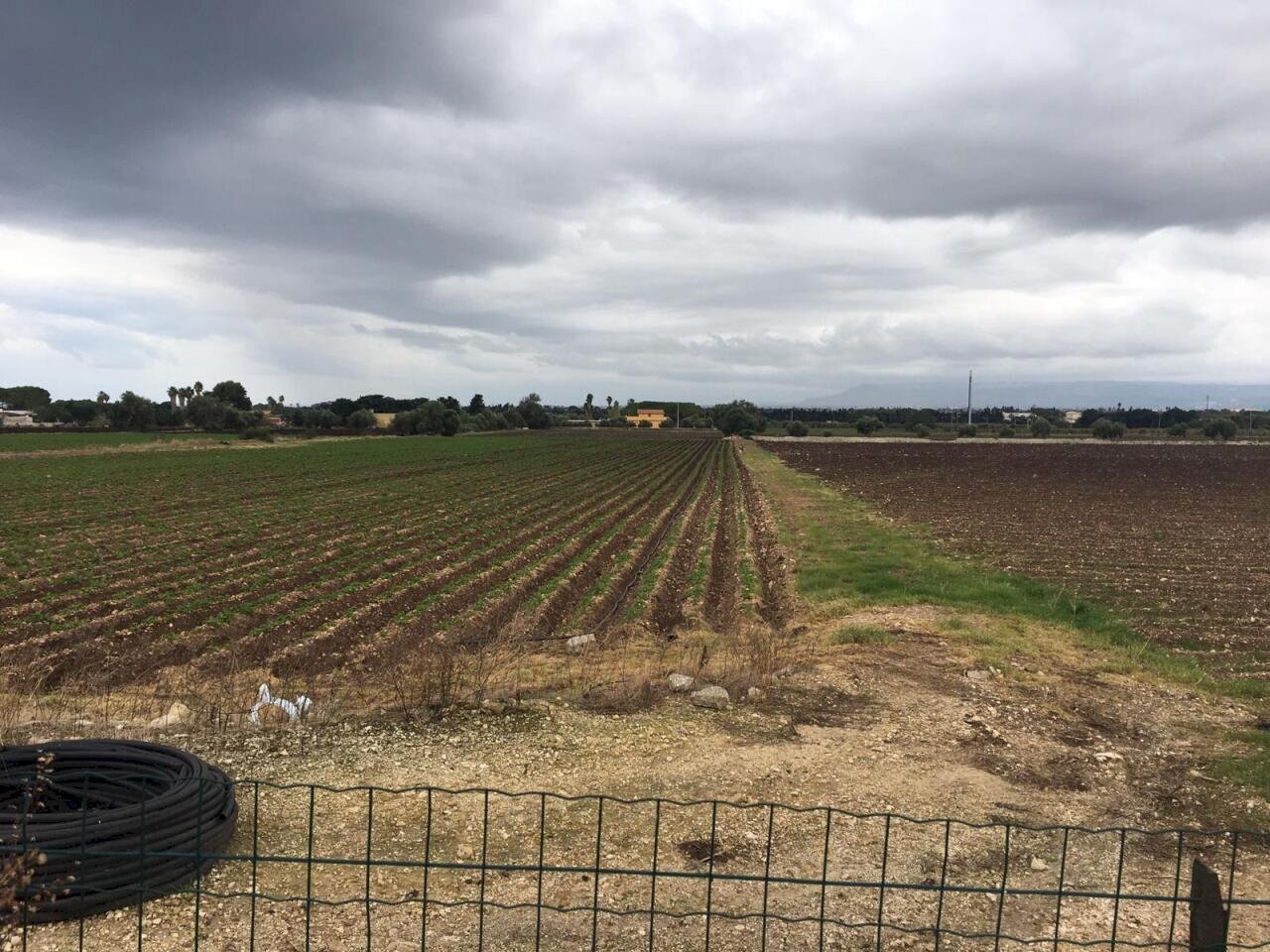 IMG-20181201-WA0017.jpg - Terreno agricolo Siracusa - foto 2