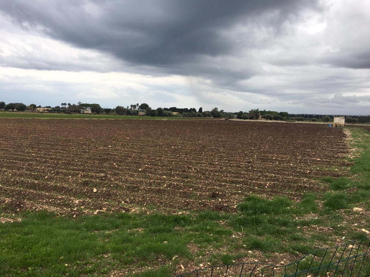 IMG-20181201-WA0018.jpg - Terreno agricolo Siracusa - foto 3