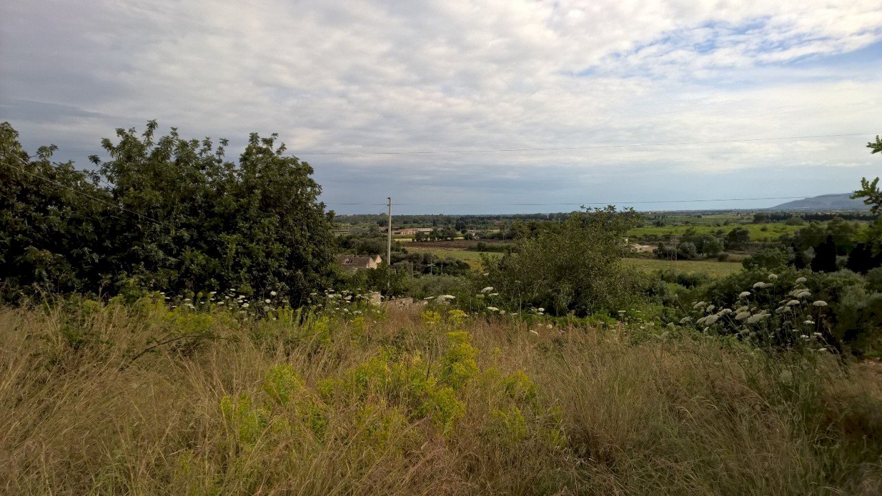 WP_20150518_16_56_35_Pro.jpg - Terreno agricolo Siracusa - foto 2