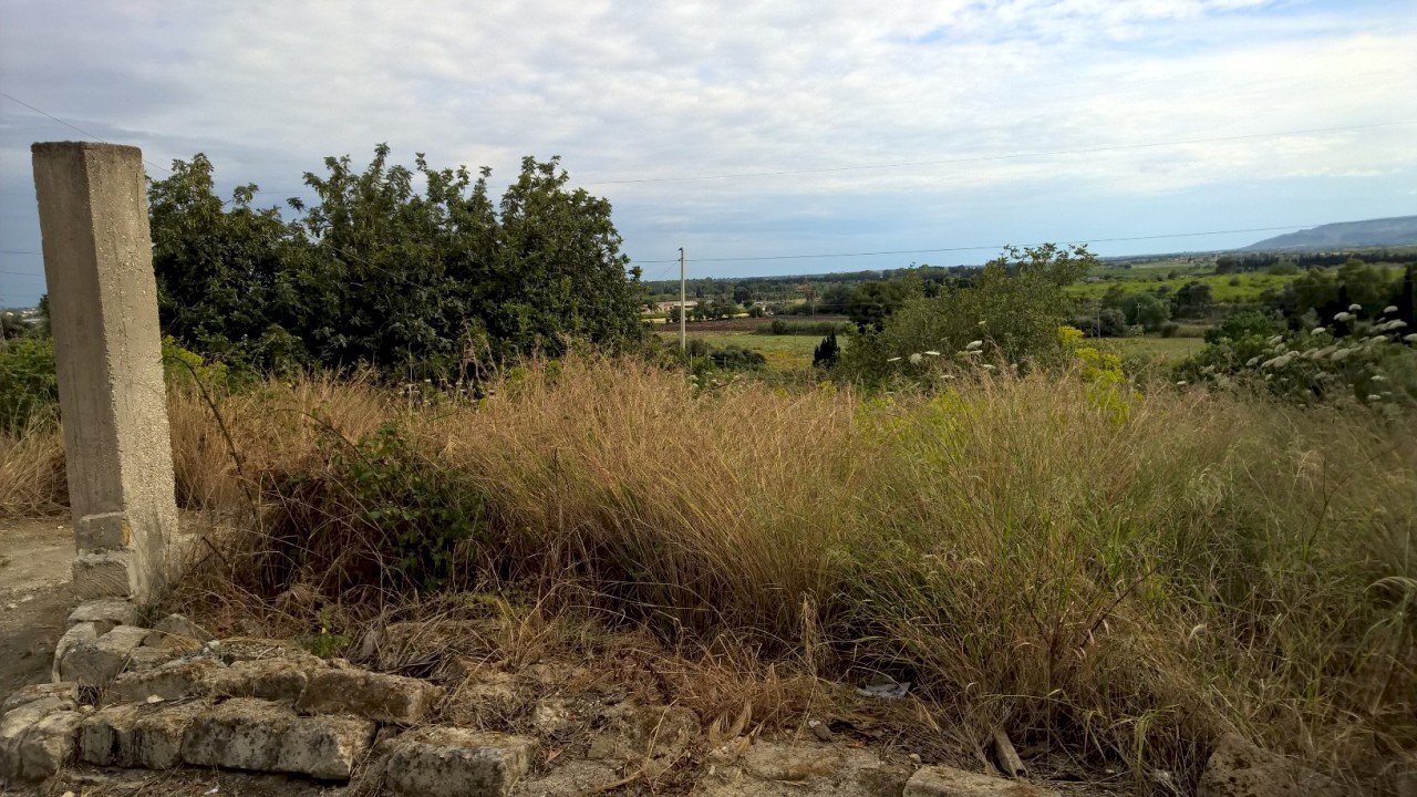 WP_20150518_16_56_22_Pro.jpg - Terreno agricolo Siracusa - foto 3