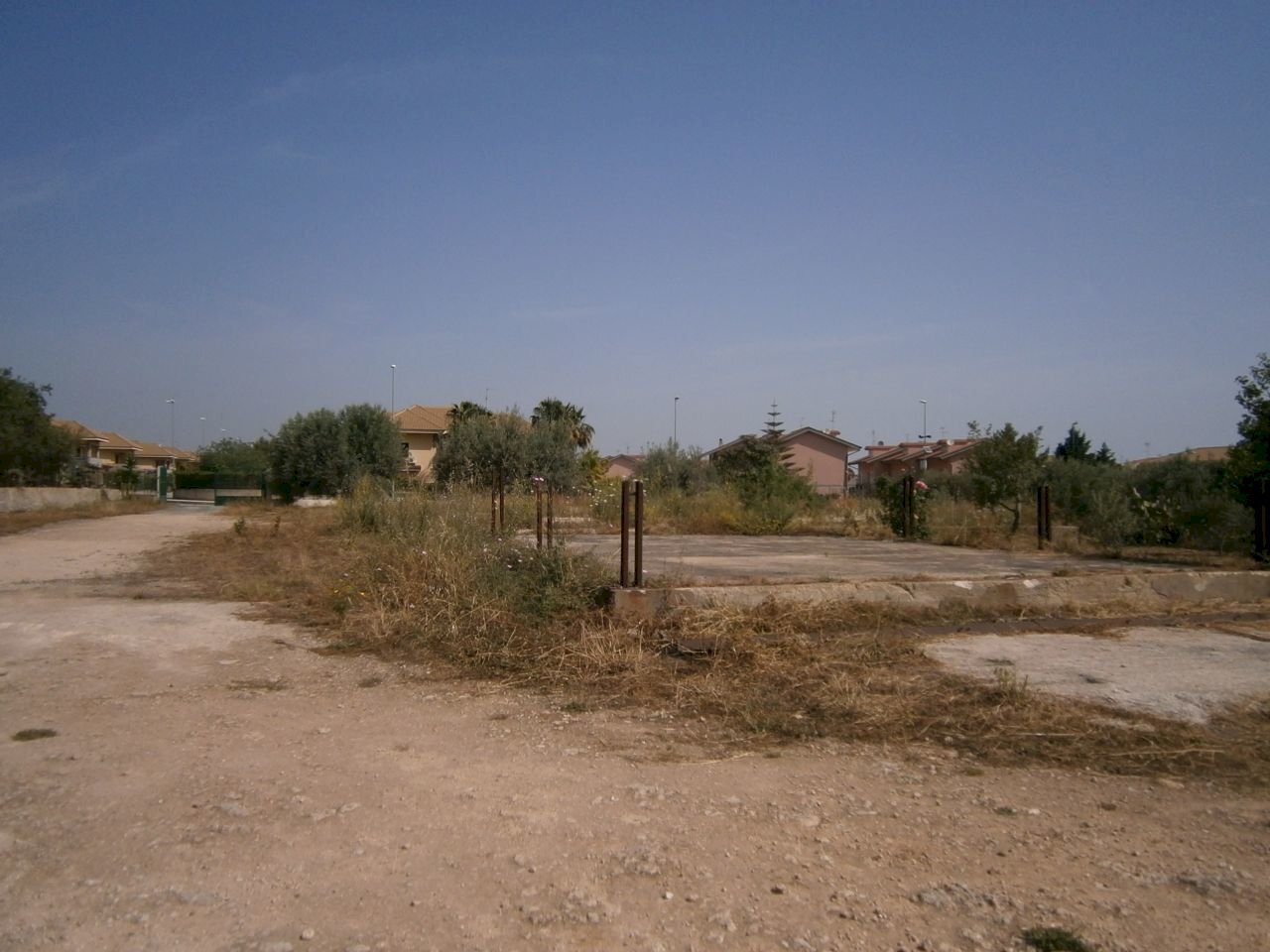 P5180089.JPG - Terreno agricolo Priolo Gargallo - foto 1