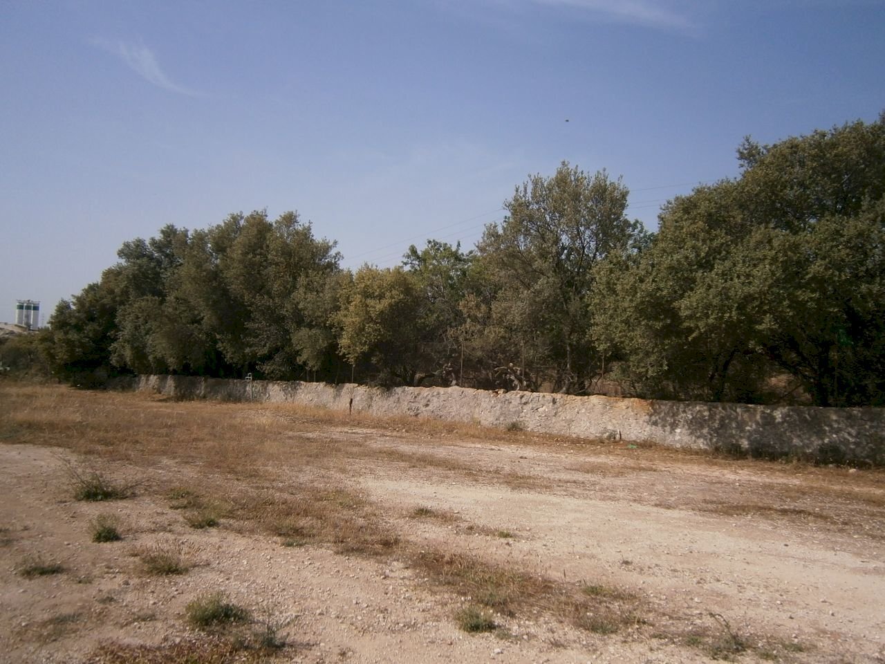 P5180090.JPG - Terreno agricolo Priolo Gargallo - foto 2