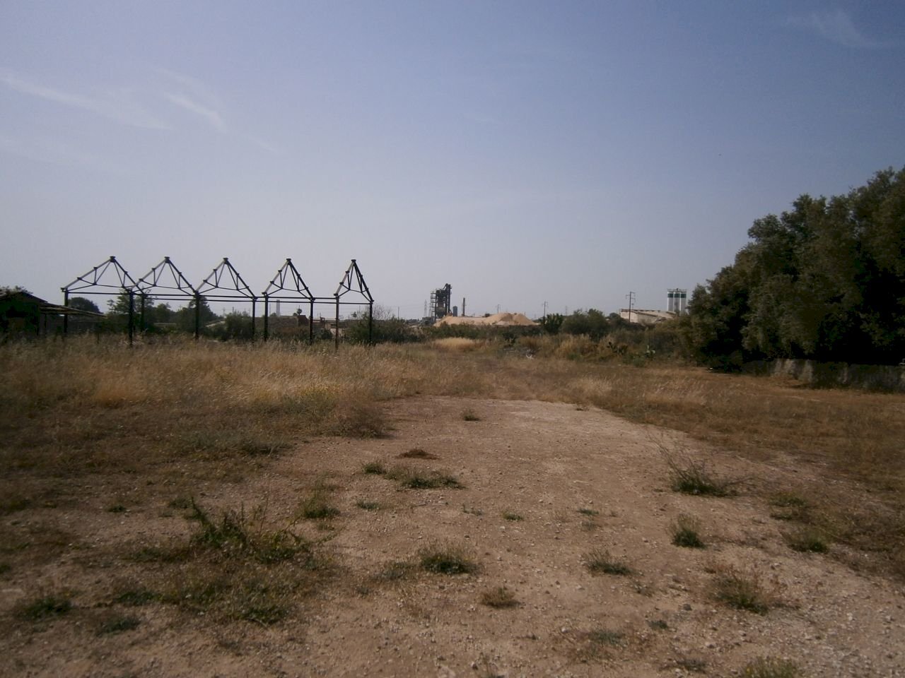P5180083.JPG - Terreno agricolo Priolo Gargallo - foto 3