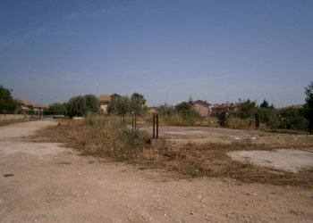 P5180089.JPG - Terreno agricolo Priolo Gargallo - foto 1