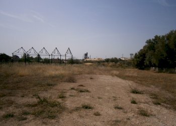 P5180083.JPG - Terreno agricolo Priolo Gargallo - foto 3