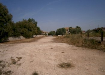 P5180085.JPG - Terreno agricolo Priolo Gargallo - foto 4