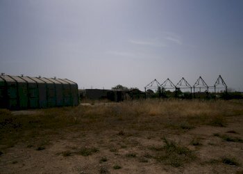 P5180086.JPG - Terreno agricolo Priolo Gargallo - foto 5