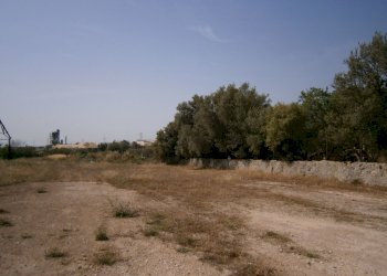 P5180087.JPG - Terreno agricolo Priolo Gargallo - foto 6