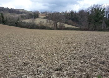 06 CARASSAI - TERRENO AGRICOLO IRRIGUO.jpg - Terreno agricolo Carassai - foto 2