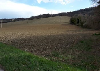 01CARASSAI - TERRENO AGRICOLO IRRIGUO.jpg - Terreno agricolo Carassai - foto 3