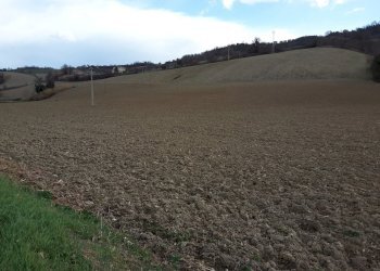 03 CARASSAI - TERRENO AGRICOLO IRRIGUO.jpg - Terreno agricolo Carassai - foto 5