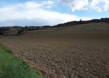04  CARASSAI - TERRENO AGRICOLO IRRIGUO.jpg - Terreno agricolo Carassai - foto 6