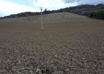 05 CARASSAI - TERRENO AGRICOLO IRRIGUO.jpg - Terreno agricolo Carassai - foto 7