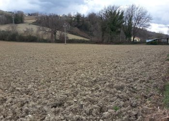 07 CARASSAI - TERRENO AGRICOLO IRRIGUO.jpg - Terreno agricolo Carassai - foto 8