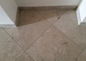 20150319_105202.jpg - Locale Commerciale Via Sarzanese 2691, Lucca - foto 6