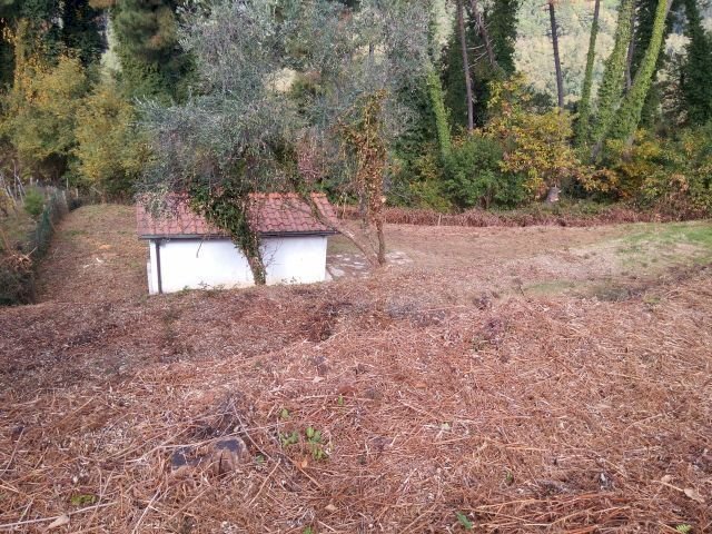 IMG_20151106_113321.jpg - Terreno agricolo via di caroggia, Lucca - foto 1