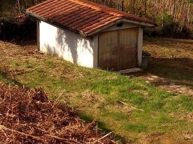 IMG_20151106_113435.jpg - Terreno agricolo via di caroggia, Lucca - foto 2