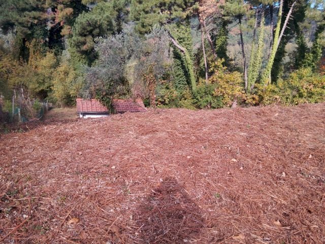 IMG_20151106_113307.jpg - Terreno agricolo via di caroggia, Lucca - foto 3