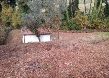 IMG_20151106_113321.jpg - Terreno agricolo via di caroggia, Lucca - foto 1