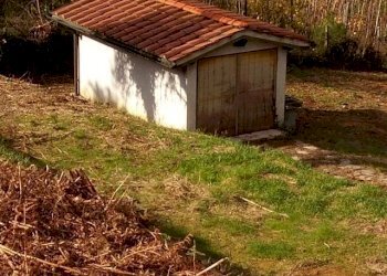 IMG_20151106_113435.jpg - Terreno agricolo via di caroggia, Lucca - foto 2