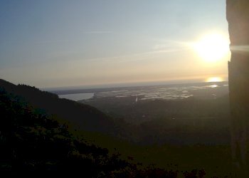 220920113247.jpg - Terreno agricolo via di caroggia, Lucca - foto 17