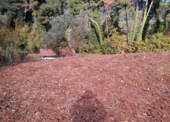 IMG_20151106_113307.jpg - Terreno agricolo via di caroggia, Lucca - foto 3