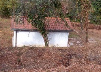 IMG_20151106_113328.jpg - Terreno agricolo via di caroggia, Lucca - foto 4