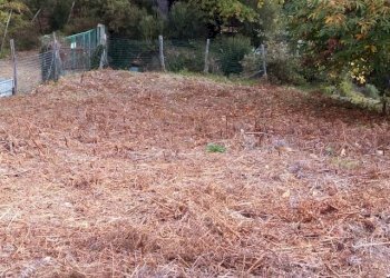 IMG_20151106_113352.jpg - Terreno agricolo via di caroggia, Lucca - foto 5