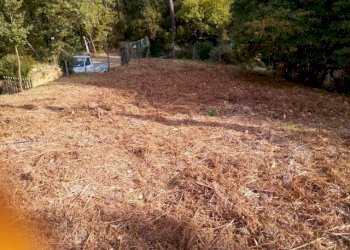 IMG_20151106_113359.jpg - Terreno agricolo via di caroggia, Lucca - foto 6