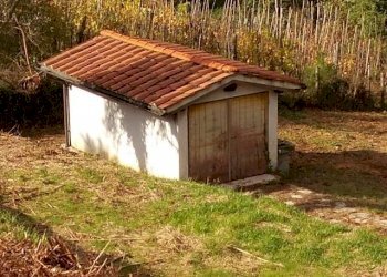 IMG_20151106_113427.jpg - Terreno agricolo via di caroggia, Lucca - foto 9