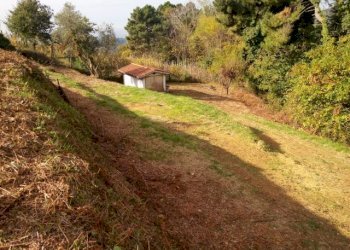 IMG_20151106_113451.jpg - Terreno agricolo via di caroggia, Lucca - foto 10