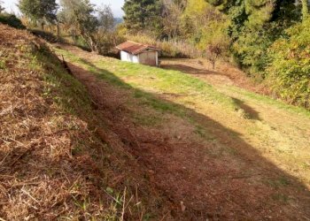 IMG_20151106_113456.jpg - Terreno agricolo via di caroggia, Lucca - foto 11