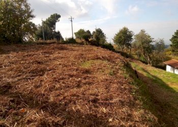 IMG_20151106_113502.jpg - Terreno agricolo via di caroggia, Lucca - foto 12