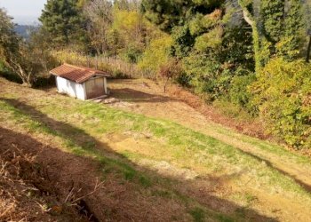 IMG_20151106_113526.jpg - Terreno agricolo via di caroggia, Lucca - foto 13