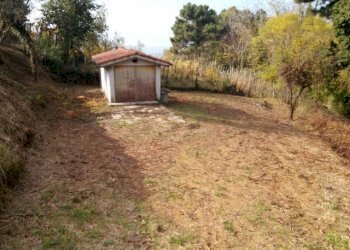 IMG_20151106_113859.jpg - Terreno agricolo via di caroggia, Lucca - foto 16