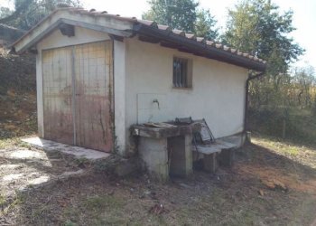 IMG_20151106_113917.jpg - Terreno agricolo via di caroggia, Lucca - foto 18