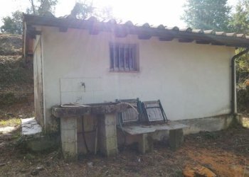 IMG_20151106_113927.jpg - Terreno agricolo via di caroggia, Lucca - foto 19