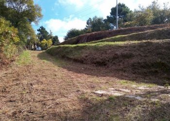 IMG_20151106_113932.jpg - Terreno agricolo via di caroggia, Lucca - foto 20