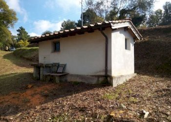 IMG_20151106_113951.jpg - Terreno agricolo via di caroggia, Lucca - foto 21