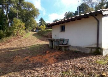 IMG_20151106_113956.jpg - Terreno agricolo via di caroggia, Lucca - foto 22