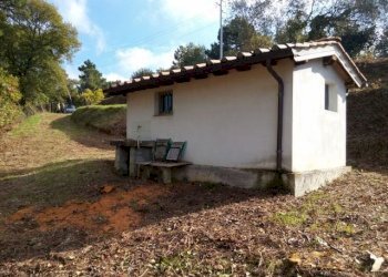 IMG_20151106_113959.jpg - Terreno agricolo via di caroggia, Lucca - foto 23